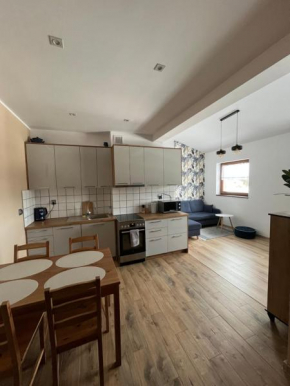 Luksusowy przestronny apartament